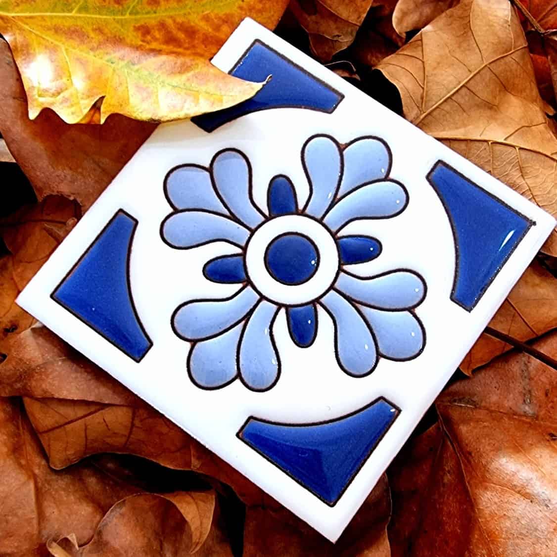 María Bonita - Imagen 2